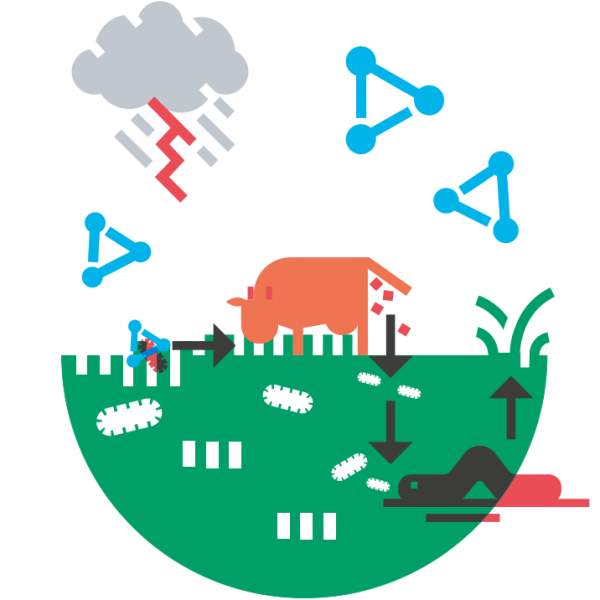 Illustration représentant le cycle de l'azote